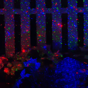 2025 RGB đom đóm đèn vật liệu nhôm chất lượng cao đèn giáng sinh ngoài trời không thấm nước vườn đèn laser chiếu - Product Image 4