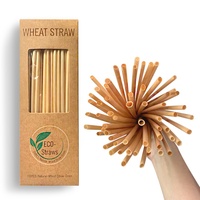 Pailles à boire en paille de blé naturelle, écologiques, de qualité alimentaire, 100 % biodégradables, emballées individuellement, jetables