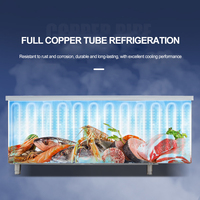 Congélateurs Horizontaux Professionnels pour Cuisine, Table de Travail en Acier Inoxydable, Réfrigérateur/Congélateur à Double Température