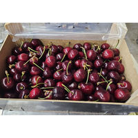 Collation aux fruits frais extra large sur mesure de la cerise moderne dernière qualité douce juteuse vitamine riche Compliment sain du Shandong