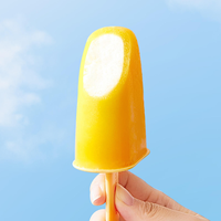 Kit de fabrication de glaces DIY pour enfants, 4 pièces, pour l'été, pour glaces maison au chocolat, moule à glaces réutilisable