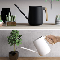 Arrosoir en acier inoxydable mat noir de grande capacité de 31 oz avec bec long, pot d'arrosage de 900 ml, arrosoir de jardin, intérieur/extérieur