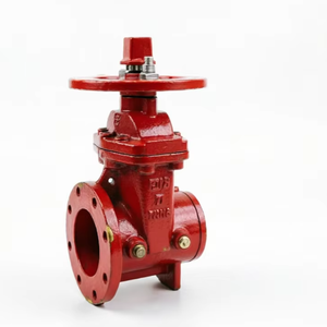 Válvula de Compuerta Genuina de Alta Resistencia de 2-12 Pulgadas, Válvula de Compuerta NRS de Cuña Resiliente - Extremo Ranurado X con Brida, Hierro Dúctil Fundido - Product Image 1