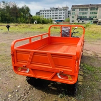Conception de godet basculant Camions à benne basculante Camions cargo Véhicule pick-up à quatre roues adulte Véhicule à carburant domestique Camion agricole