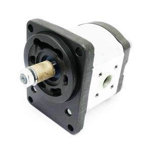 0510 525 311 Bomba de engranajes Nuevo Original Listo Stock Automatización industrial PAC PLC dedicado - Product Image 1