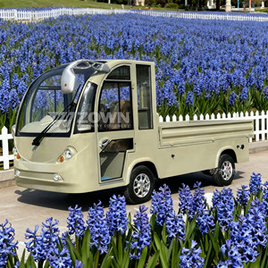 Carro Eléctrico Ligero de Servicio, Carro Plano Simple de Color Beige para Mantenimiento de Paisajes en Resorts y Parques - Product Image 5