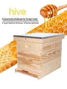 2024 nuevo equipo de apicultura colmena de madera 10 marcos 8 marcos para colmena de abejas Langstroth - Product Image 6