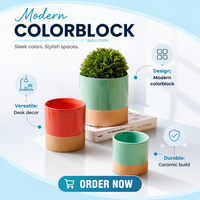 Pot Bunga Keramik Stoneware Dekoratif Berlapis Warna-warni Baru dari Pabrik Grosir, Dua Warna, Desain Kustom OEM