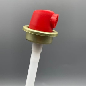 Vanne universelle mâle pour <span class=keywords><strong>extincteur</strong></span>, vanne de commande d'<span class=keywords><strong>extincteur</strong></span>, étanchéité standard, sécurité incendie commerciale et domestique - Product Image 5