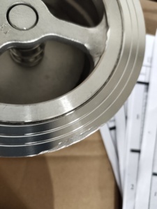 Vanne anti-retour à <span class=keywords><strong>disque</strong></span> SS304 CF8 à ressort de pression pour applications industrielles - Product Image 5