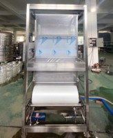 Machine d'emballage de sachets d'eau pure haute performance, ligne de production d'eau pure en petits sachets, équipement de remplissage d'eau en gros sachets