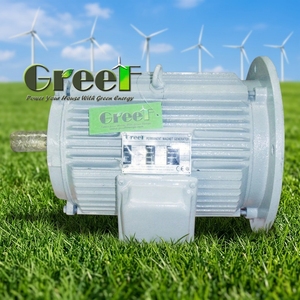 Generador de imanes sin escobillas trifásico de 1400 KW y 250 RPM, bajo mantenimiento para hidroeléctricas - Product Image 5