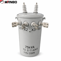 Transformador de Aceite Monofásico para Montaje en Poste Wanbo-441 de 75 kVA, 13200/7620 V, 115/230 V, ONAN, IEC 60076, OEM de China
