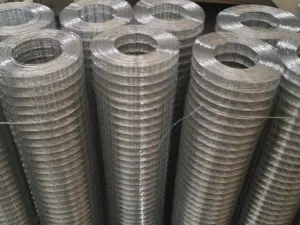 30m/roll Stainless steel/Galvanized corrosion resistance welded wire mesh for farm construction Wire Mesh