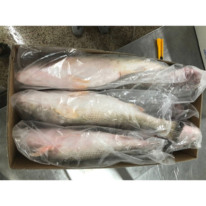 <span class=keywords><strong>Poisson</strong></span> Rouge Congelé en Gros à <span class=keywords><strong>Prix</strong></span> Abordable - <span class=keywords><strong>Prix</strong></span> de Gros pour <span class=keywords><strong>Poisson</strong></span> Rouge Congelé - Product Image 3