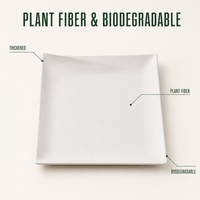 Assiettes en papier jetables épaissies, compatibles micro-ondes et congélateur, compostables, biodégradables, OEM ODM, personnalisables, écologiques