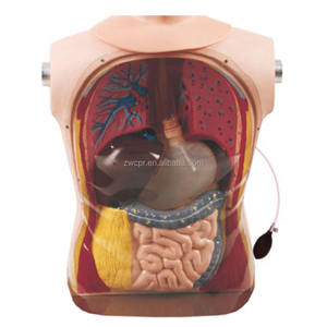 نماذج التغذية الرغامية الأنفية والمعدة ، محاكي التغذية الأنفية والمعدية والرعاية الرغامية ZW/81 - Product Image 1