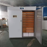 Incubateur d'œufs multifonctionnel entièrement automatique à taux d'éclosion élevé, modèle 9856, économe en énergie, 220V, garantie 1 an, pour oies et cailles