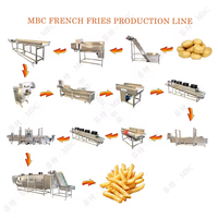 Volledig automatische productielijn voor diepvriesfrieten: verse aardappel wassen, schillen, snijden, frituren en verwerken.