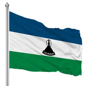 Huiyi bandiere nazionali volanti all'aperto poliestere 3 x5ft bandiera promozionale personalizzata del paese Lesotho