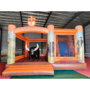 Casa Inflable con Tobogán para Niños, Alquiler para Fiestas Infantiles, Material de PVC, Portátil, Capacidad de 300-500 kg - Product Image 5