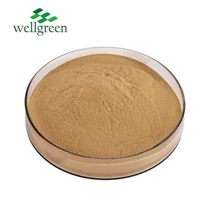 Wellgreen nấm bổ sung 100% tinh khiết số lượng lớn <span class=keywords><strong>Shiitake</strong></span> nấm bột - Product Image 2