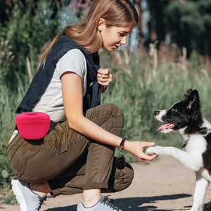 Silicone food-grade safe material <b>dog</b> treat <b>pouch</b> training bag waterproof <b>dog</b> treat training bum bag for <b>dog</b> training - Product Image 5