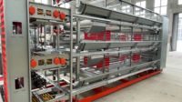 Système de cages à poulets multi-niveaux de type H, cage à batterie automatique, équipement en acier galvanisé pour élevage avicole