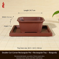 Pot de fleurs rectangulaire en résine de style chinois pour plantes succulentes, écologique, avec trou de drainage et plateau d'arrosage, pour usage en intérieur