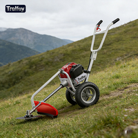 Tondeuse à gazon multifonctionnelle à essence, poussée à la main, 3600 tr/min, arbre réglable pour l'entretien des pelouses et des terres agricoles