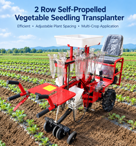 2-reihige selbstfahrende Gemüsesetzlings-Pflanzmaschine mit Benzinmotor für Paprika-Setzlinge für die Landwirtschaft - Product Image 1