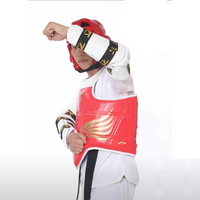 Ensemble d'équipement d'entraînement de Taekwondo personnalisé avec logo JB Modèle 006 : Protections Tête, Poitrine, Bras, Entrejambe, Jambes, Pieds, Gants et Sac - Chine Hubei Autres