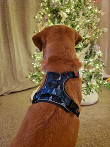 พรีเมี่ยมคอมฟอร์ตไม่ห้ามห้ามสายรัดสุนัขปรับปลอกคอสายจูงยุทธวิธีชุดสําหรับสุนัขพันธุ์ใด ๆ - Product Image 5