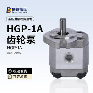 Bomba de Paletas Hidráulica de Alta Presión HGP HGP-1A-F1R/F2R/F3R/F4R/F5R/F6R/F7R/F8R - Product Image 2