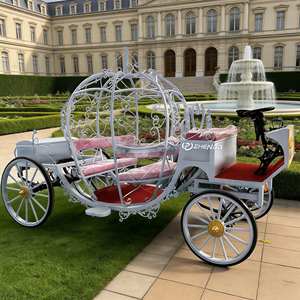 Boda de cuento de hadas en blanco y negro con la novia entrando en una soñadora carruaje de calabaza con temática de <span class=keywords><strong>Cenicienta</strong></span>, <span class=keywords><strong>completa</strong></span> con luces. - Product Image 1