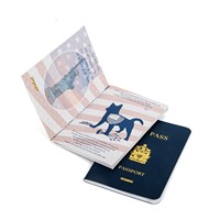 Passeport d'activités personnalisé pour enfants pour camps d'été – Vente en gros