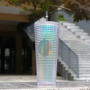 Commercio all'ingrosso trasparente acrilico Tumbler in plastica bottiglia di acqua caffè Tumbler tazze Tumbler con paglia