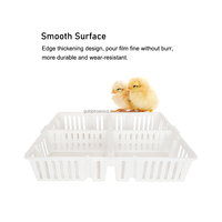 Caisses de transport en plastique pour cailles, pigeons, poulets et volailles, quatre parties, cage de transport pour poussins