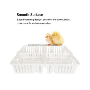 QA 塑料四件套鹌鹑鸽子鸡家禽运输箱小鸡运输笼 - Product Image 4