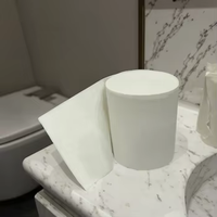 Fabricant de papier toilette OEM, rouleaux de papier toilette doux en pâte de bois vierge 3 plis, haute qualité, prix bas