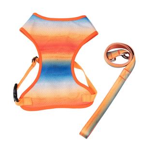 Harnais de pêche de styliste, avec impression, Style d'été, pour animaux de compagnie, maille personnalisée, doublure pour chien - Product Image 4