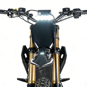 Vélo tout-terrain Altis Sigma 2026 E avec moteur central Hairpin, vitesse de 80 MPH, cadre en alliage d'aluminium forgé, moto tout-terrain - Product Image 2