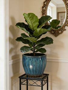 Maceta de Cerámica Texturizada Azul Turquesa Degradado Estilo Americano Vintage, Maceta Acanalada Ecológica y Duradera con Drenaje para el Hogar - Product Image 6