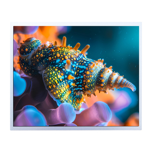 Módulo LCD de Alta Estabilidad de 17.0 Pulgadas, Pantalla SXGA TN AUO G170ETN02.1, Brillo Súper Alto de 800cd/m², LVDS de 30 Pines, Panel Industrial - Product Image 6