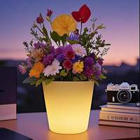 Pot de fleurs et vase lumineux LED d'extérieur écologiques modernes avec matériau PE et longue durée de vie de la batterie