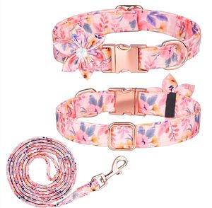 <span class=keywords><strong>Collar</strong></span> de gato y perro estampado colorido con hebilla dorada Correas y collares de poliéster de lujo para mascotas con nudo de flor extraíble - Product Image 1