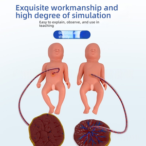 Model perawatan bayi baru lahir dengan Placenta PVC manekin untuk kabel pusar dan pelatihan plasenta alat sains medis untuk sekolah - Product Image 6