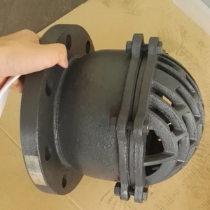 Gang/van chân sắt dễ uốn trong ứng dụng bơm Van công nghiệp PN16 - Product Image 5