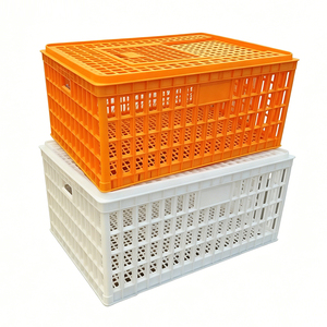 Caisse de transport en plastique pour poulets de la ferme avicole de Linchuan avec contrôle précis de la température pour poulets vivants - Product Image 2