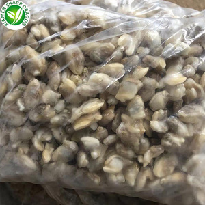 IQF tươi Ngao thịt chất lượng cao đông lạnh Ngao cho người sành ăn ẩm thực sử dụng - Product Image 4